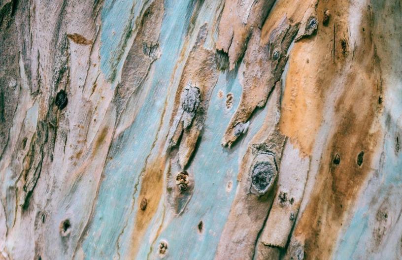 Synthetic Dyes vs. Natural Dyes KENT super natural basics