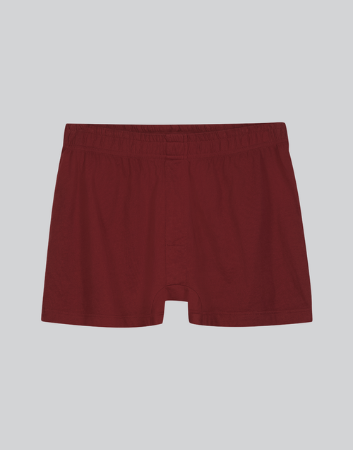 mens 100% organic compostable briefs in red synthetic free