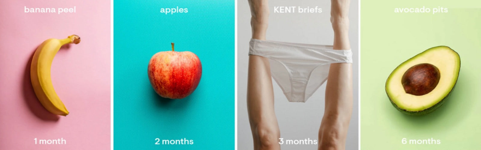 Banana peel: 1 month, Apples: 2 months, KENT briefs: 3 months, Avocado pits: 6 months